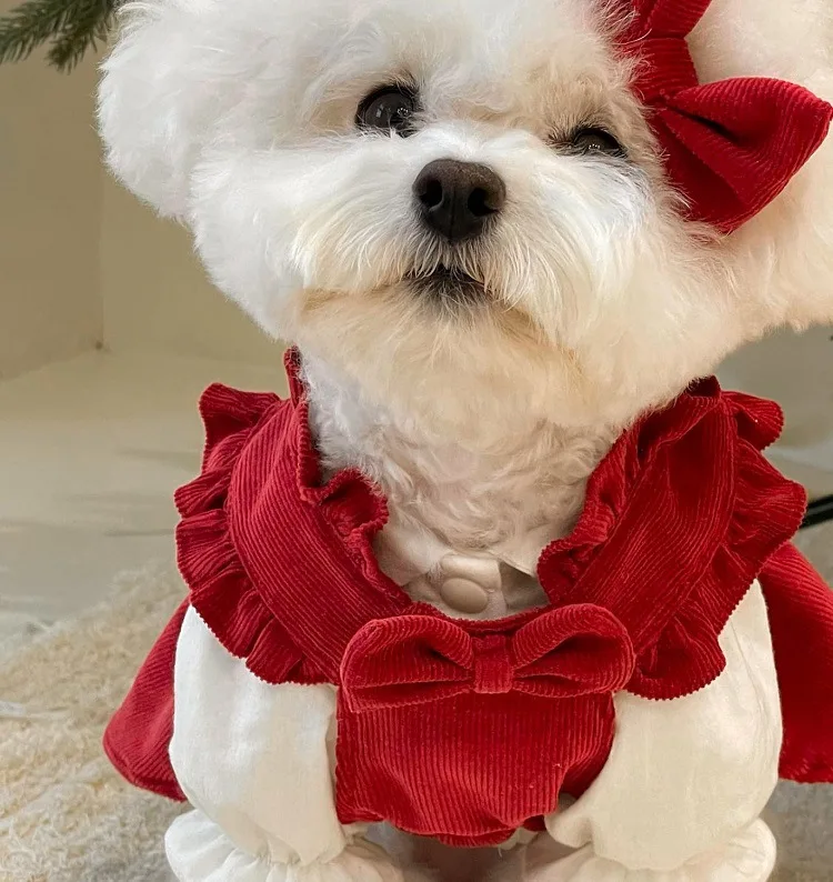 Puppy Bow Knot Dress Set Winter Warm Dog Clothes Pet Christmas Princess Dress Teddy Solid Color Skirt Send Clip