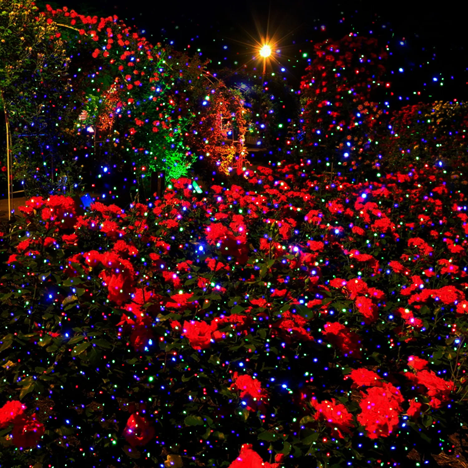 Laser Christmas Projector Light Outdoor Moving RGB Christmas Projector Light 3 Color Motion Firefly Light Show for Holiday Decor