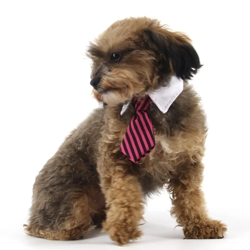 2023 Dog Cat Grooming Cat Striped Bow Tie Animal Striped Bow Tie Collar Pet Adjustable Christmas Cat Collar Pet Collar