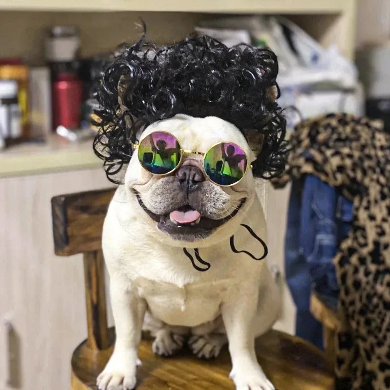 NONOR Pet Wigs Cosplay Props Funny Dogs Cats Cross-Dressing Hair Hat Costumes Head Accessories for Halloowen Christmas Supplies