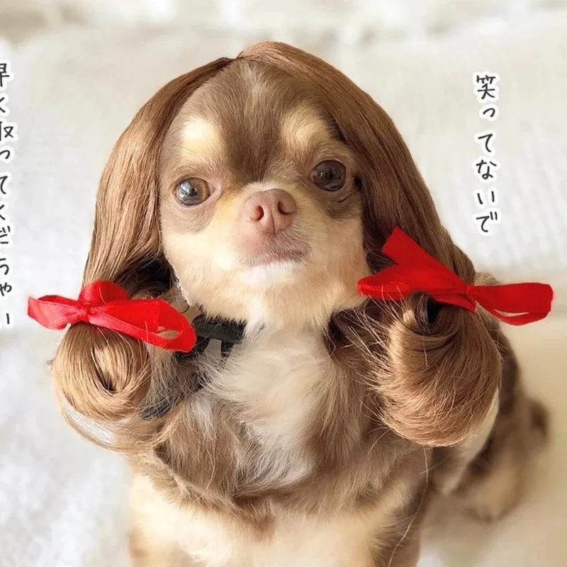 NONOR Pet Wigs Cosplay Props Funny Dogs Cats Cross-Dressing Hair Hat Costumes Head Accessories for Halloowen Christmas Supplies