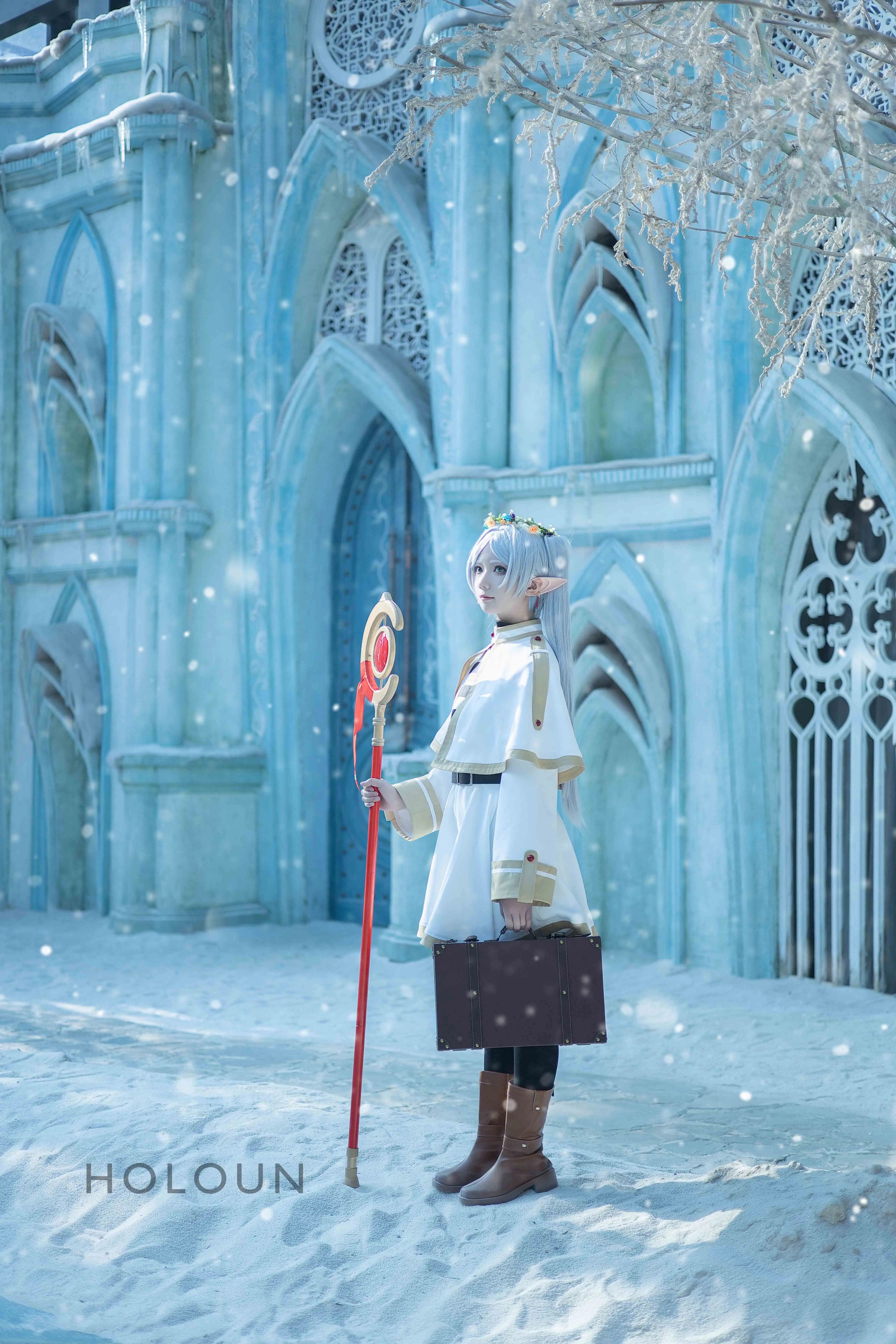 HOLOUN Frieren Beyond Journey's End Anime Frieren Cosplay Costume Shawl Cloak Dress Wig Grey Ponytail Rose Net Christmas