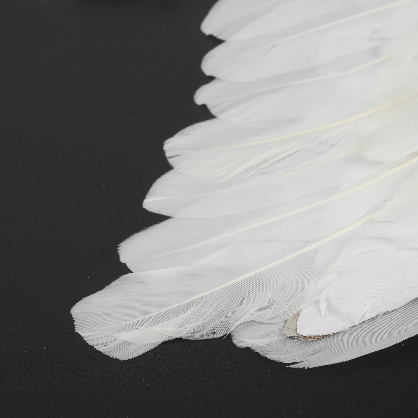 Halloween Feather Wings White Black Angel Wings Devil Wings with Elastic Straps for Adult Teens Christmas Costume Accessories