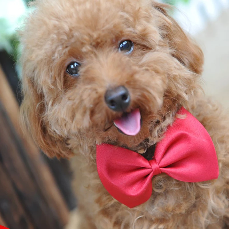 100pcs/lot Pet Christmas Gift For Dog Cute Bow Tie Cat Neck Tie Pet Grooming Accessories 20 Colors Adjustable Bows For Neck