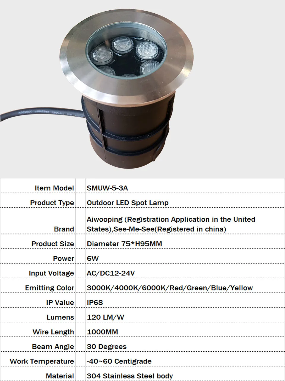 42MM 52MM 62MM 75MM 1W 3W 6W 12V-24V IP68 Swimming Pools Lighting All Stainless Steel LED Underwater Light