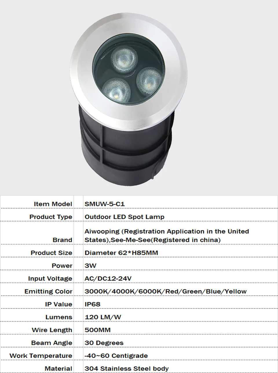 42MM 52MM 62MM 75MM 1W 3W 6W 12V-24V IP68 Swimming Pools Lighting All Stainless Steel LED Underwater Light