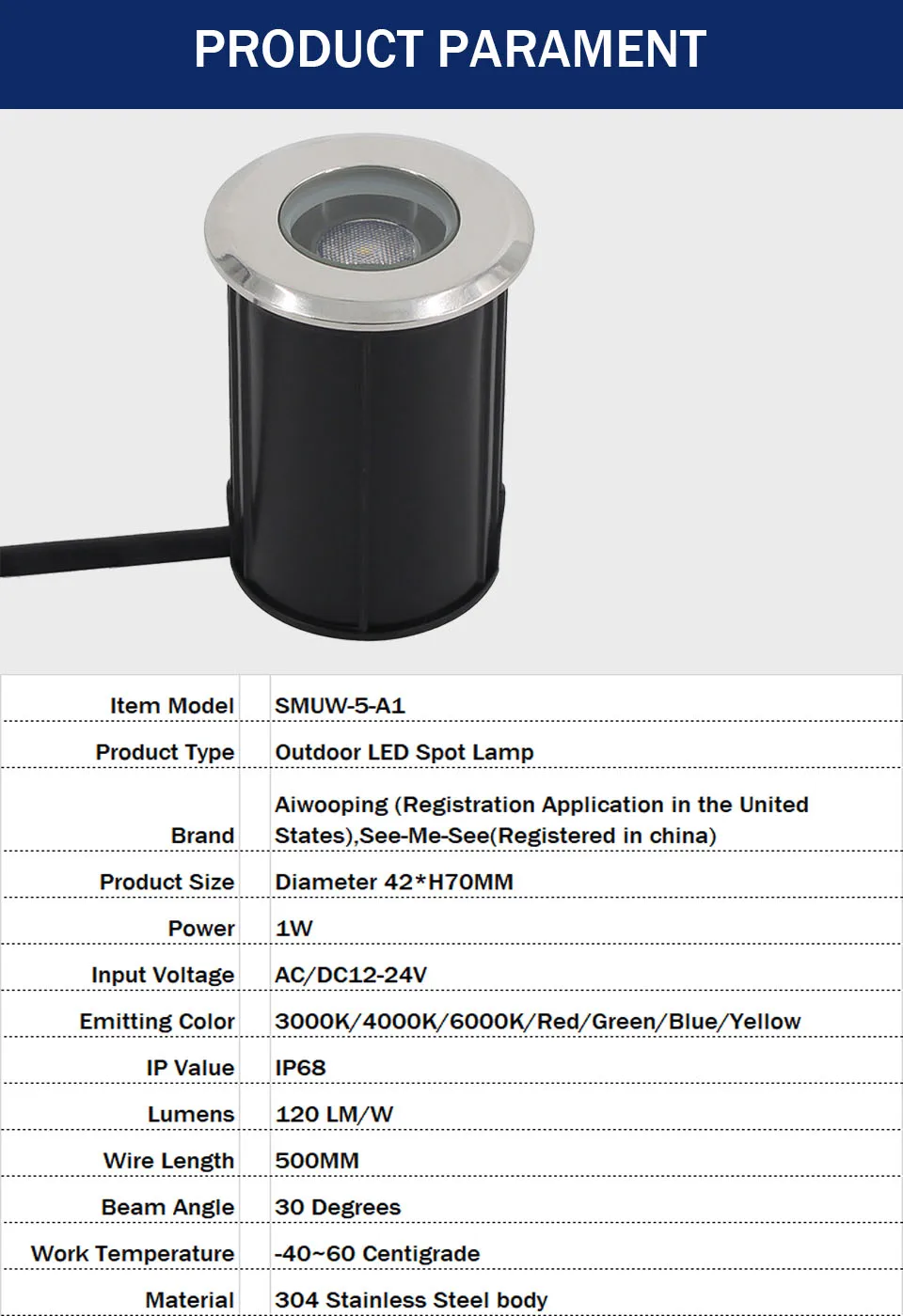 42MM 52MM 62MM 75MM 1W 3W 6W 12V-24V IP68 Swimming Pools Lighting All Stainless Steel LED Underwater Light