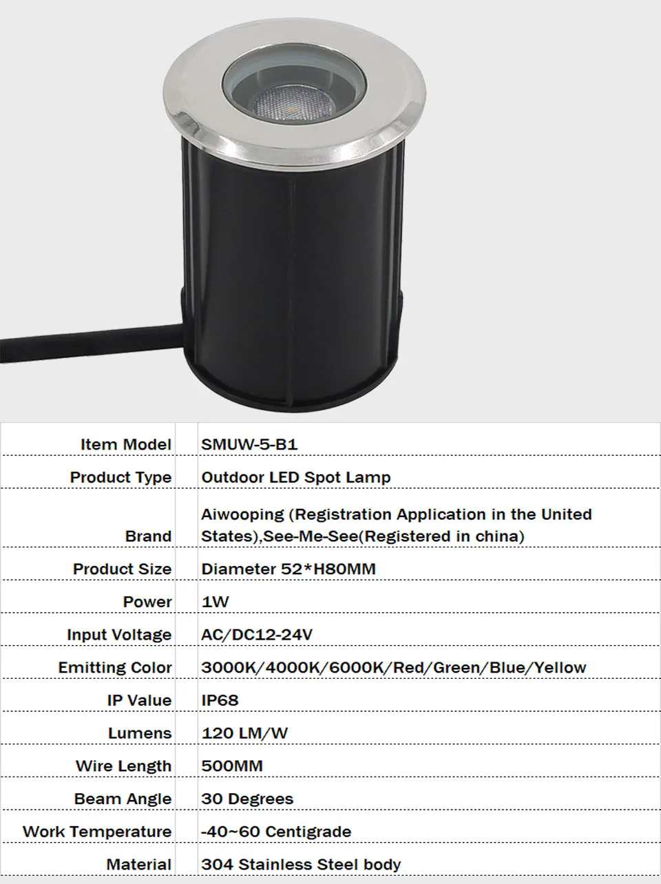 42MM 52MM 62MM 75MM 1W 3W 6W 12V-24V IP68 Swimming Pools Lighting All Stainless Steel LED Underwater Light