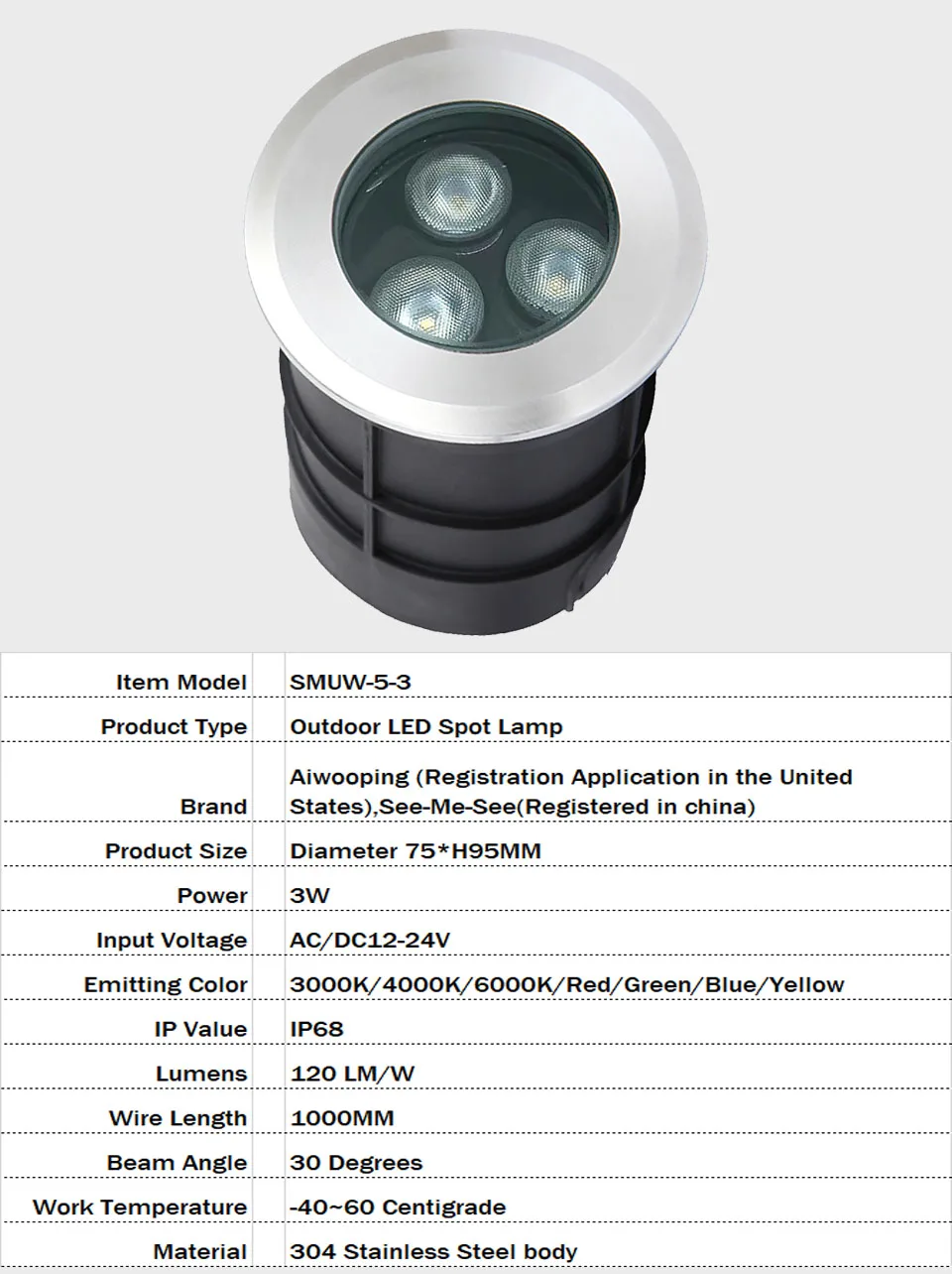 42MM 52MM 62MM 75MM 1W 3W 6W 12V-24V IP68 Swimming Pools Lighting All Stainless Steel LED Underwater Light