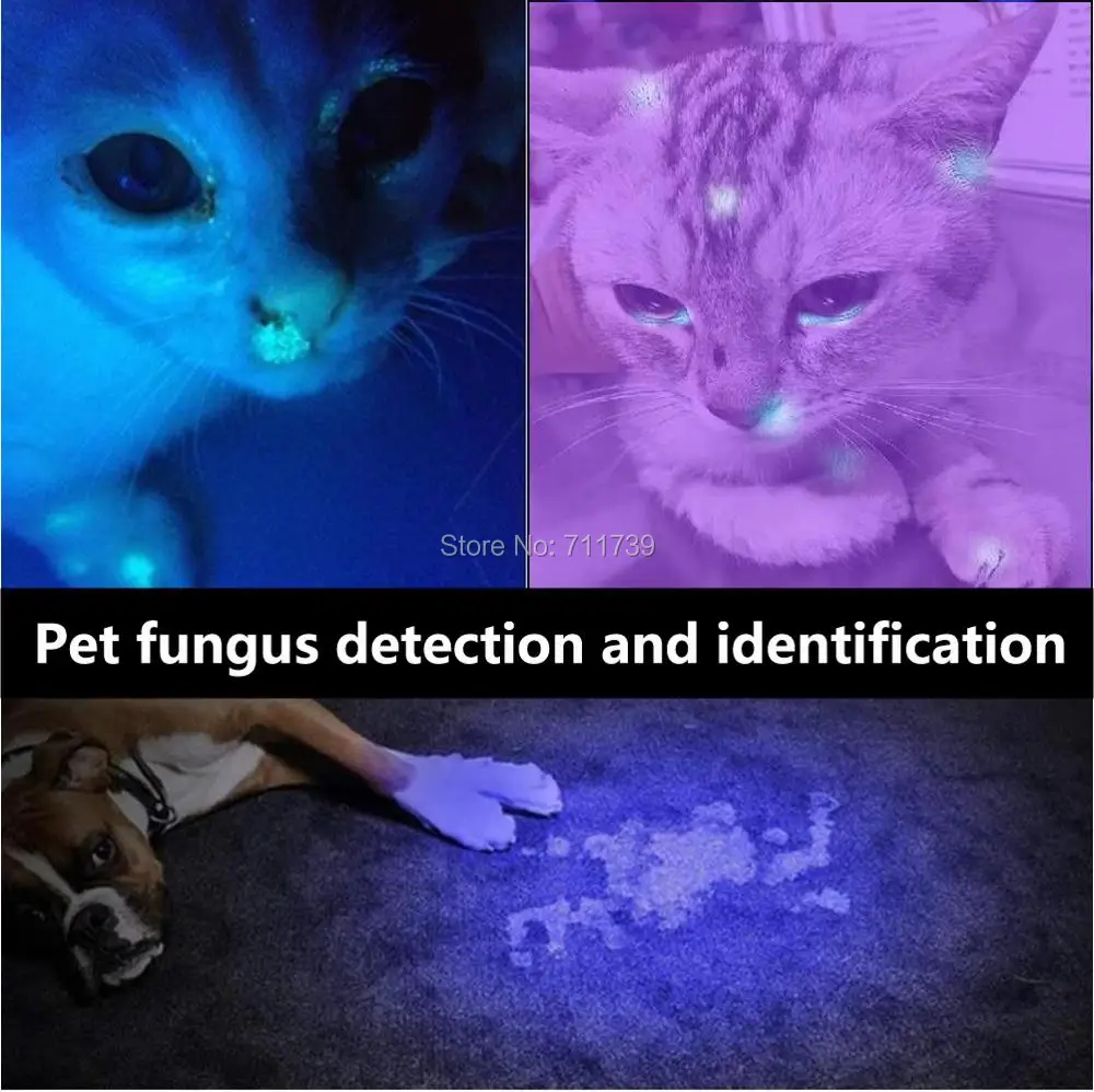 15W 3x LED UV Flashlight 365nm Ultraviolet Invisible Ink Marker Cat Dog Pet Skin Urine Tinea Ore Money Scorpion Detector Light