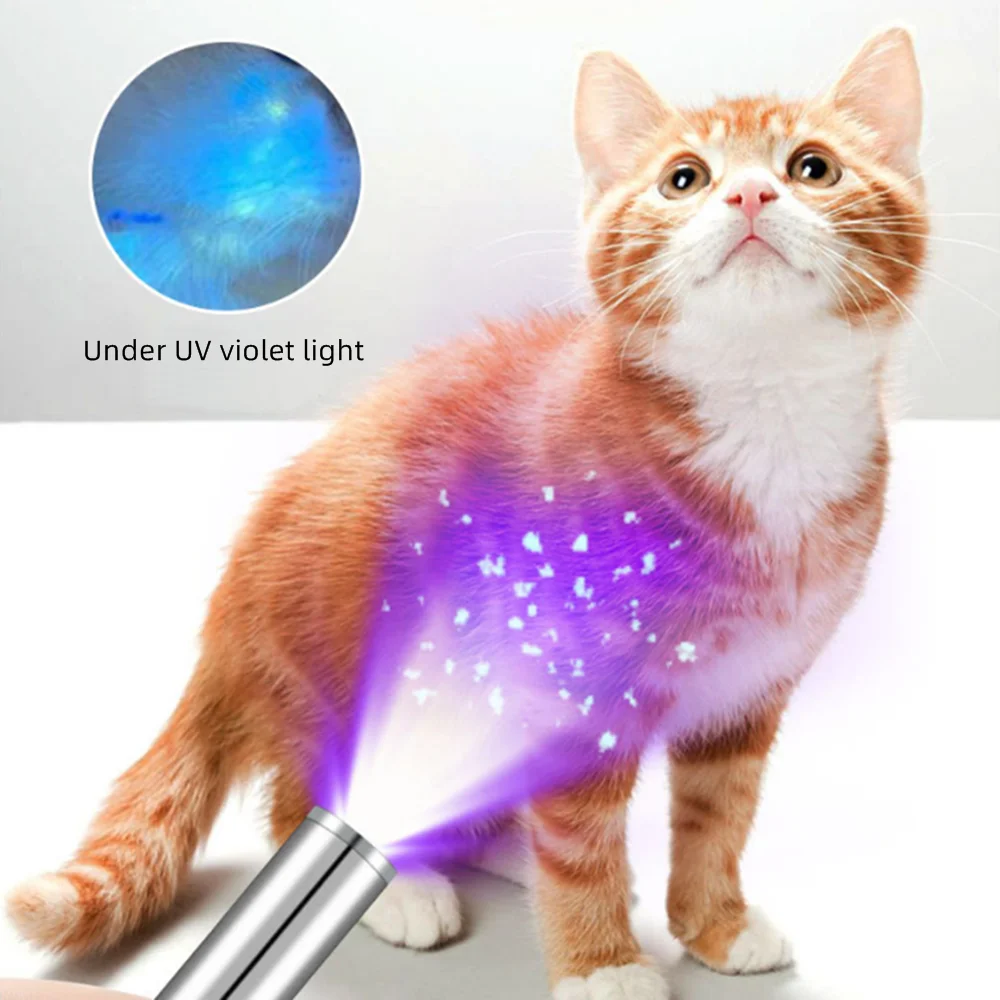 365nm UV Black Light Pen Flashlight USB Charging Money Ore Moldy Food Pet Stains Cat Tinea Leakage Invisible Ink Marker Checker