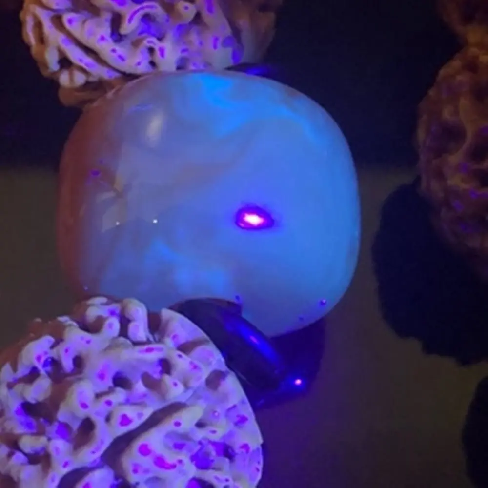 128LED 395nm UV Flashlight High Power Ultraviolet Torch Money Ore Pet Stains Invisible ink Scorpion Marker Fluorescent light
