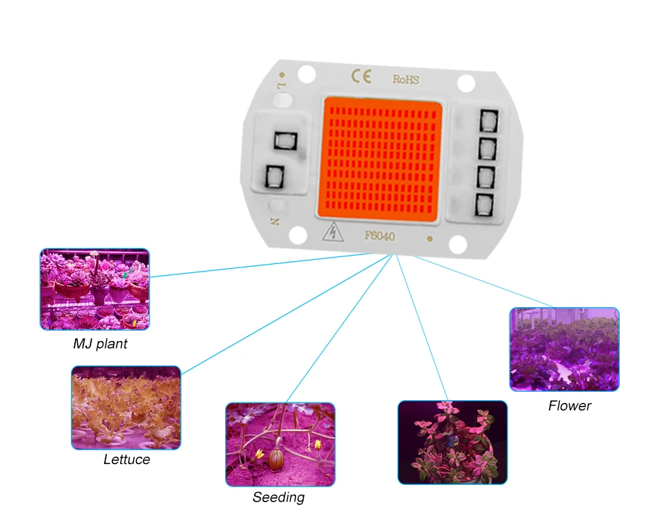 6PCS/lot COB LED Lamp Chip Diode Grow Plant Light AC 110V 220V 10W 20W 30W 50W LED Beads Lamp Box Full Spectrum No Need Driver