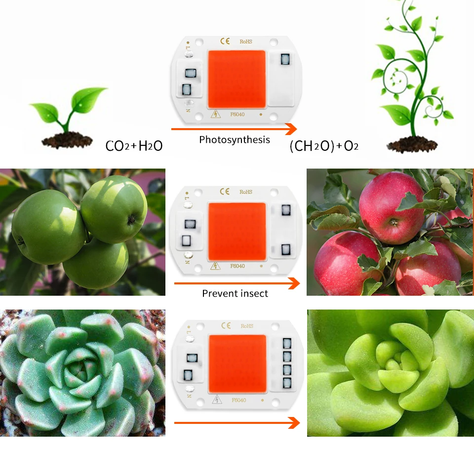 6PCS/lot COB LED Lamp Chip Diode Grow Plant Light AC 110V 220V 10W 20W 30W 50W LED Beads Lamp Box Full Spectrum No Need Driver