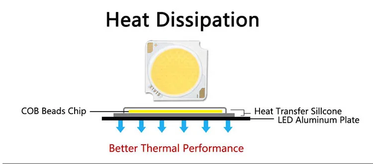 LED Bridgelux Chip 12W 18W 24W 30W 36W 42W DC36-39V LED COB Light Emitting Diode 19 * 19mm RA97 LED Track Light Source