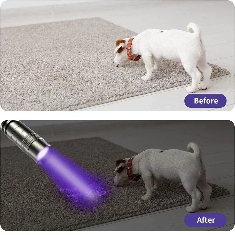 Pen Clip 395nm UV Light, Pet Dog Cat Urine Detector & Scorpion Finder, Portable Ultraviolet Flashlight Lamp, Uses AAA Batteries