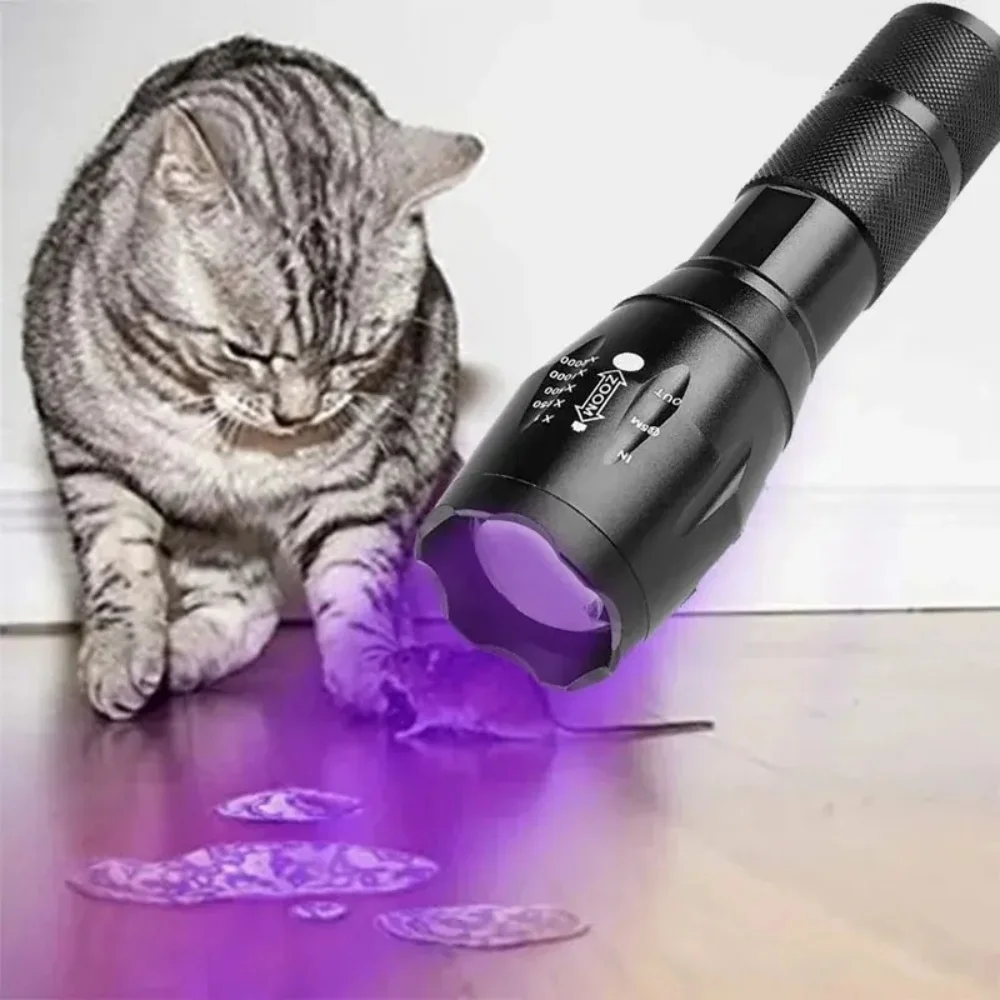 2-in-1 Type C Rechargeable UV Flashlight Torch Light 395nm Black Light Portable Ultraviolet Light Pets Blacklight Uv Flashlights