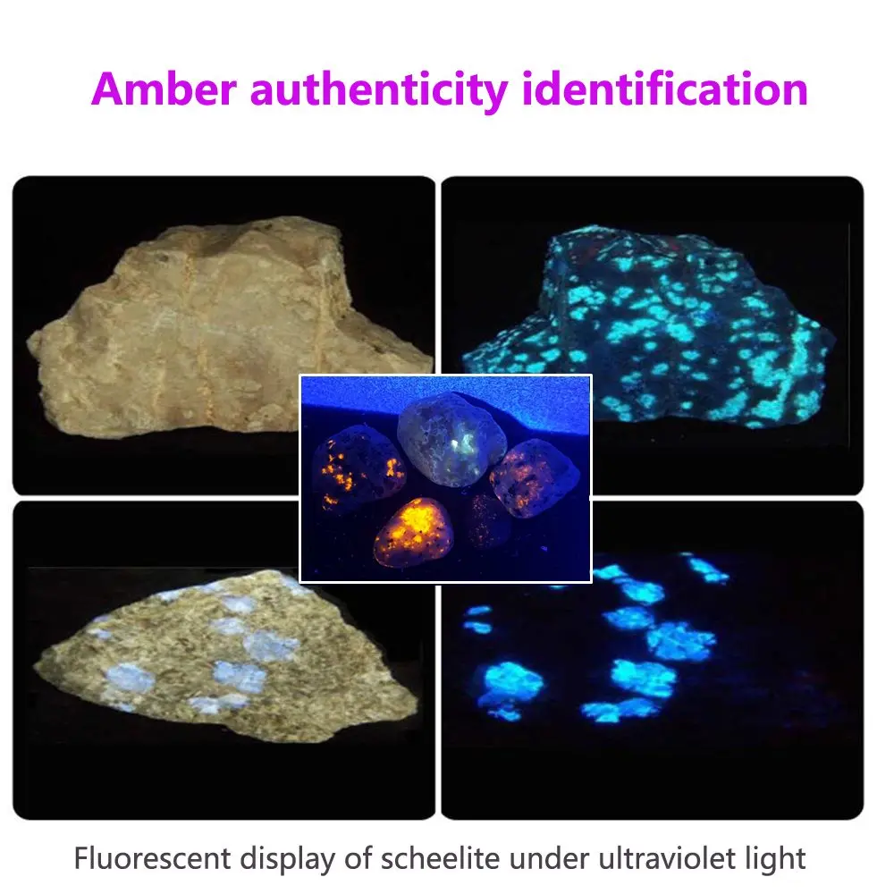 Alonefire SV77 10W 365nm UV Flashlight Ultraviolet Black Light Pet Moss Detector For Cat Dog Stains Bed Bug Moldy Food