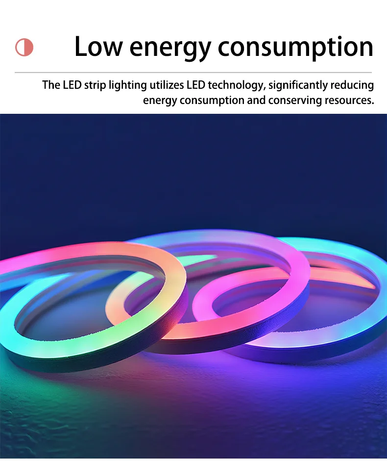 Wiscolor WIFI RGBIC LED Neon Strip Lights Waterproof Voice Control Work With TUYA Smart Life For DIY Room Home Decoration