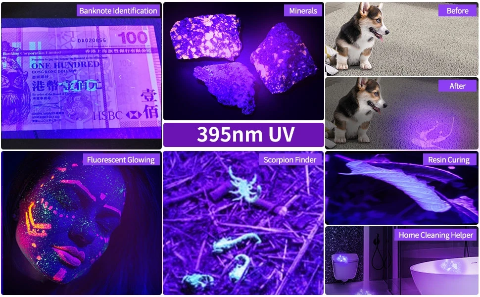 3x365nm/395nm UV LED Flashlight High Power Blacklight USB Rechargeable CatDog Pet Stain Tinea UV Glue Curing Scorpion Lamp Torch
