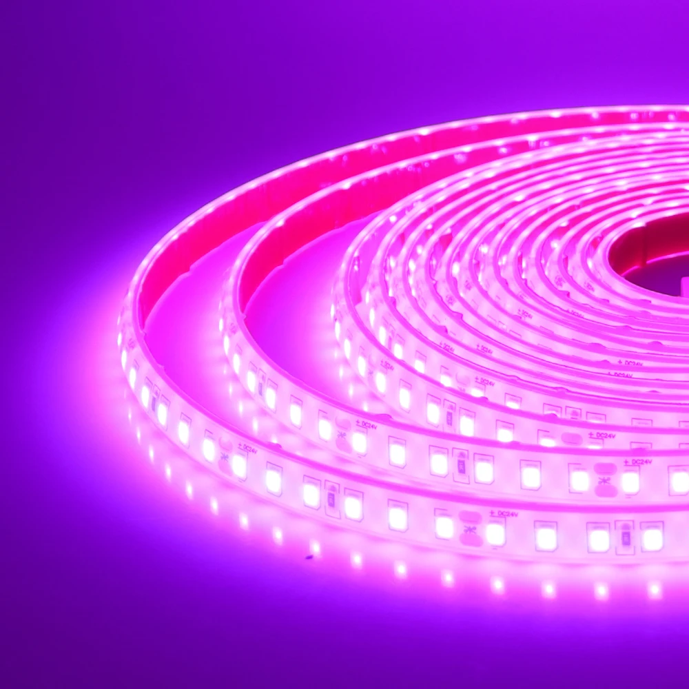 24V IP68 Waterproof LED Strip 120Leds White/Pink/Yellow/Red/Ice Blue/Green Swimming Pool Home Decor Flexible Ribbon Rope Light