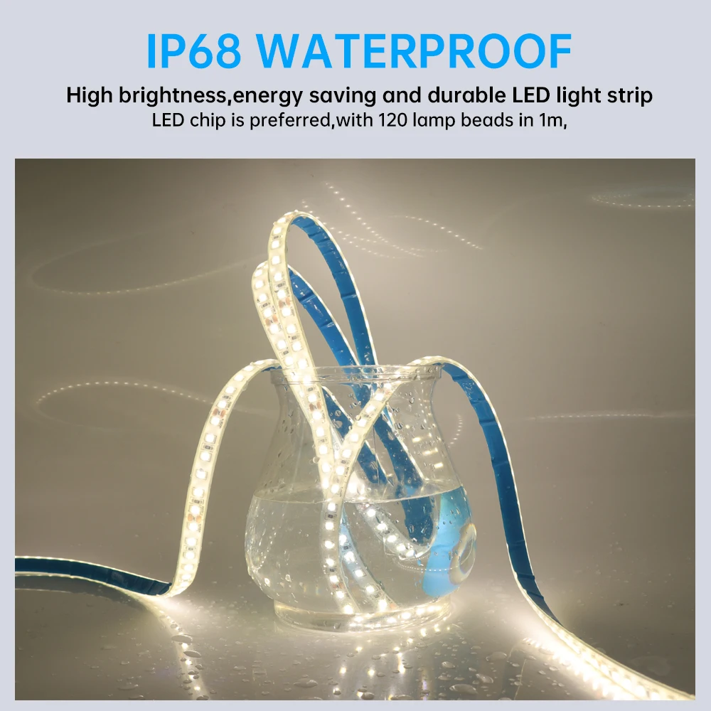 24V IP68 Waterproof LED Strip 120Leds White/Pink/Yellow/Red/Ice Blue/Green Swimming Pool Home Decor Flexible Ribbon Rope Light