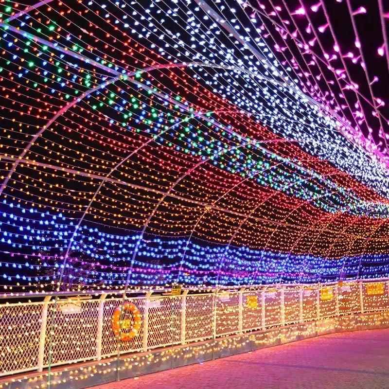 holiday Led christmas lights outdoor 20M 10M led string lights decoration for party holiday wedding Garland