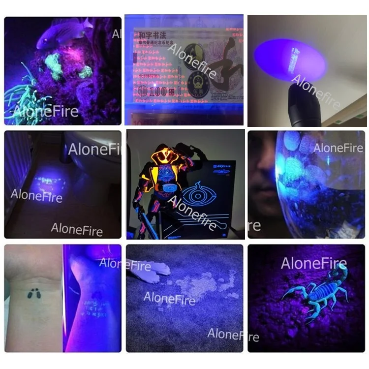 10W 365/405nm UV Flashlight USB Rechargeable Ultraviolet Blacklight Torch Pet Urine Cat Tinea Money Ore Scorpion Detection Lamp