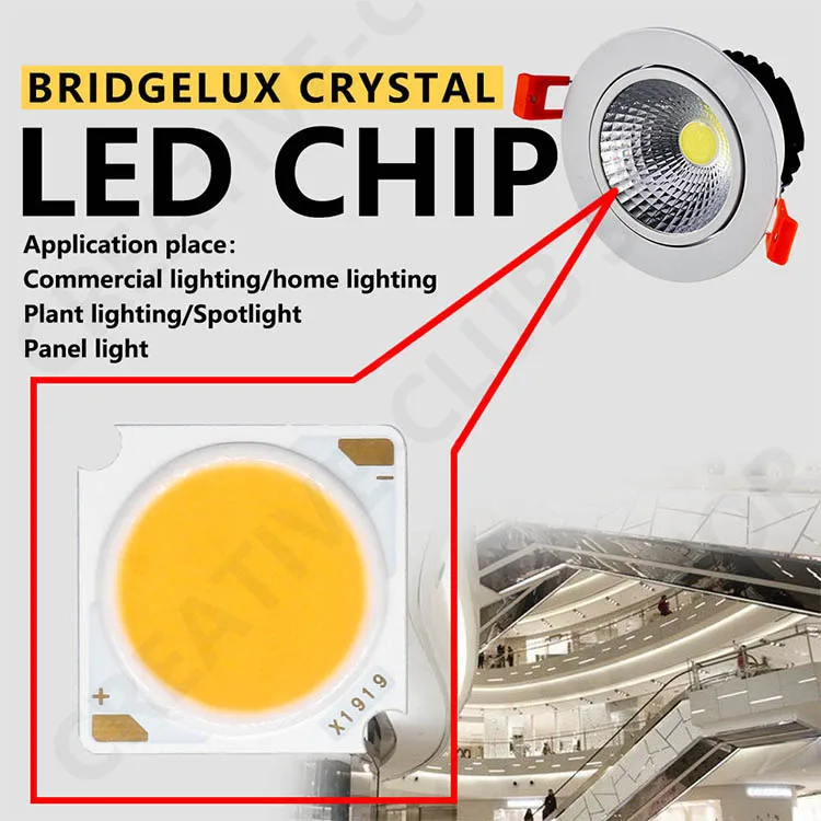 10pcs 1919 10W 20W 30W 40W LED COB Chip Light-emitting Diode Imported Bridgelux Crystal Chip DC30-33V DIY Downlight Panel Light