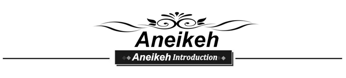 Aneikeh 2025 Summer Sexy Mesh Pumps Sandals Female Square Toe High Heel Lace Up Cross-Tied Stiletto Hollow Dress Party Shoes