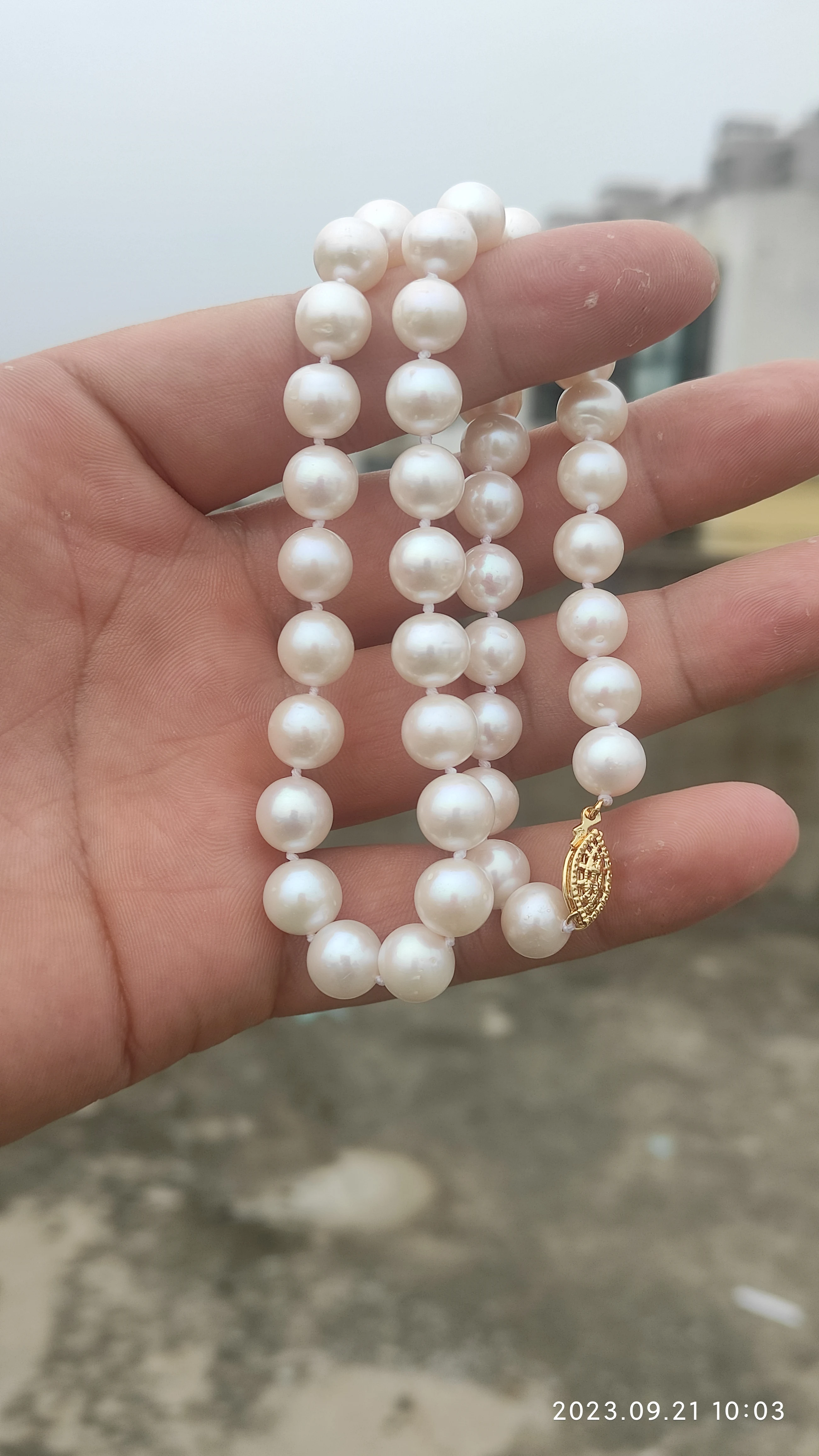 AAA++++8-9mm Circular Natural Akoya White Pearl Necklace 18'