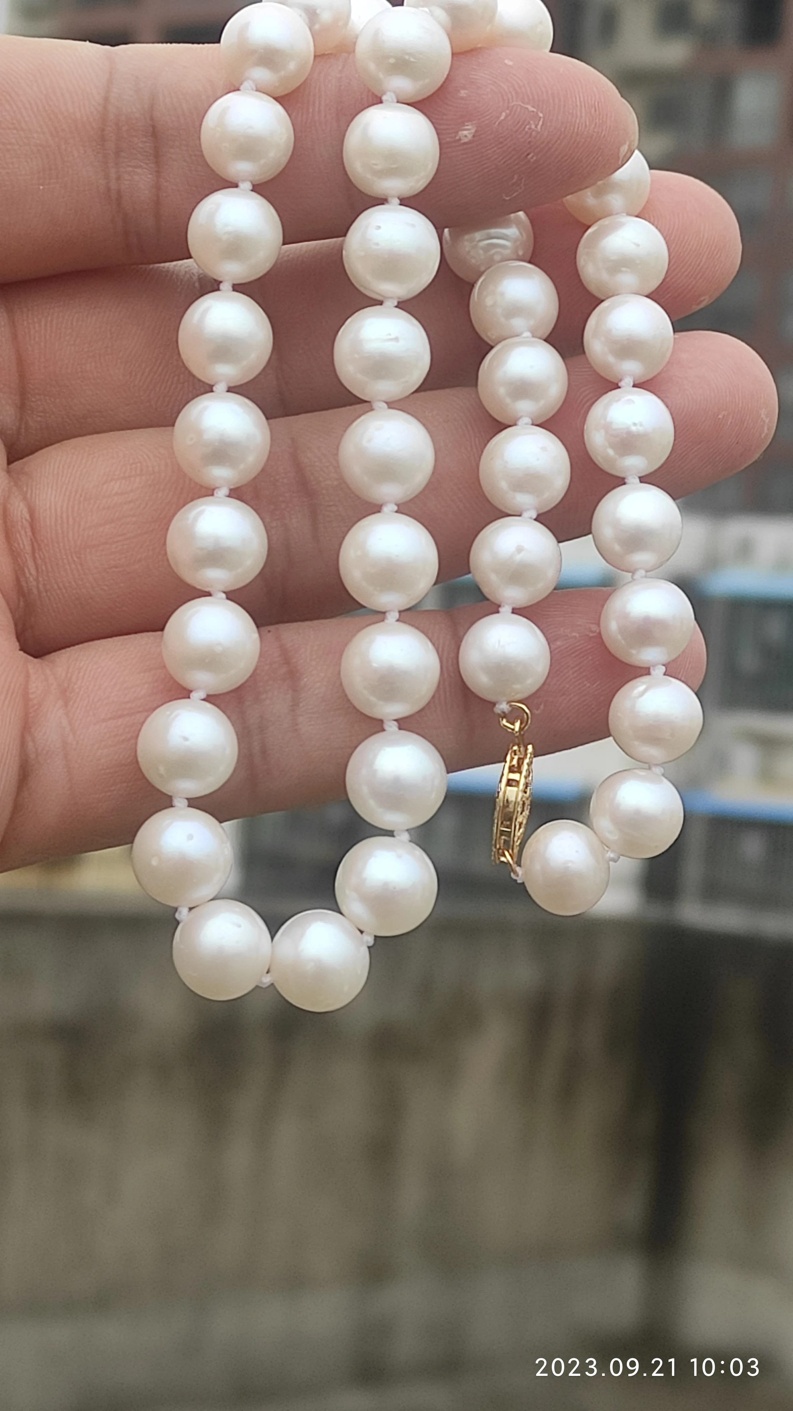 AAA++++8-9mm Circular Natural Akoya White Pearl Necklace 18'