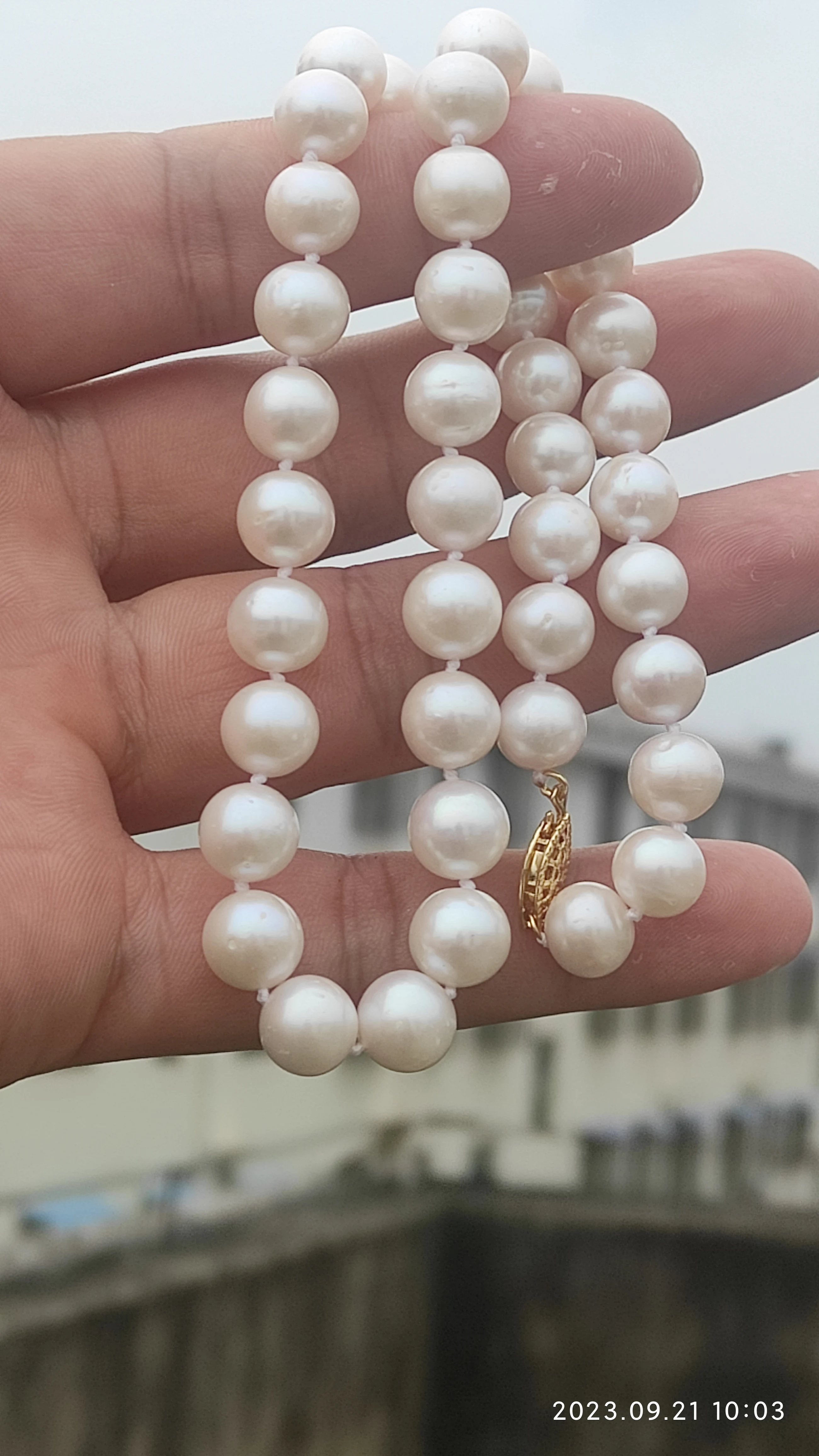 AAA++++8-9mm Circular Natural Akoya White Pearl Necklace 18'