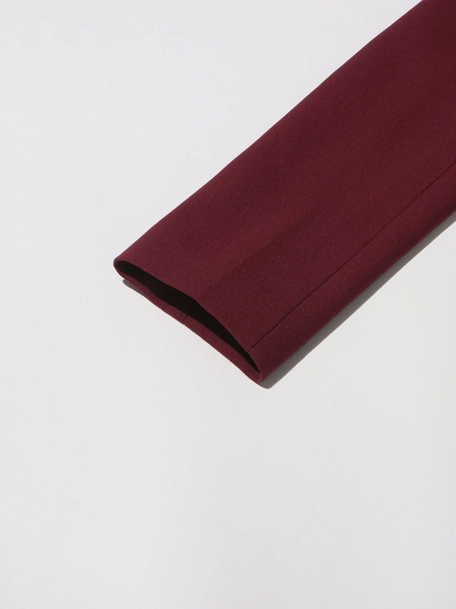TWOTWINSTYLE Burgundy Two Piece Set For Women Notched Collar Long Sleeve Top High Waist Straight Pant Temperament Sets Female