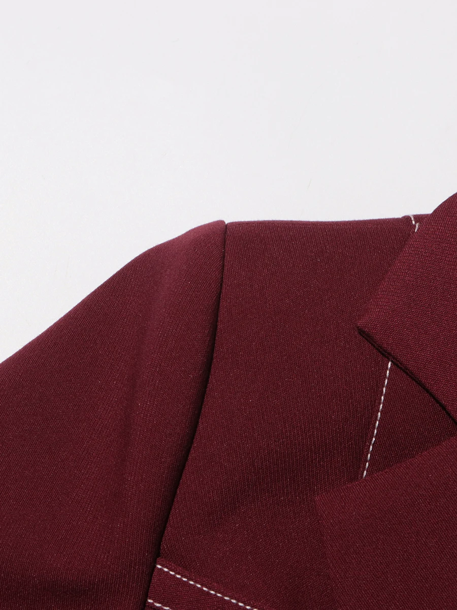 TWOTWINSTYLE Burgundy Two Piece Set For Women Notched Collar Long Sleeve Top High Waist Straight Pant Temperament Sets Female