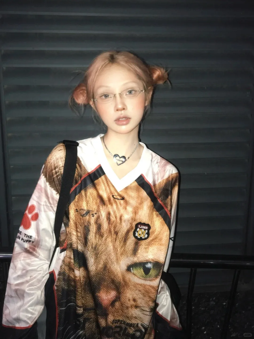 Karrram Japanese Y2k Kitten Print Jersey T-shirt Vintage Harajuku V-neck Long Sleeve Cat Tops American Retro Streetwear 2000s