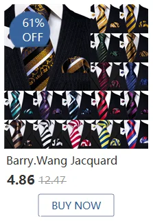 Barry.Wang Mens Scarf Jacquard Floral Paisley Casual Formal Gold Green Red Blue Purple Gray For Male Wedding Business Party