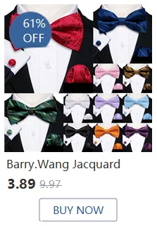 Barry.Wang Mens Scarf Jacquard Floral Paisley Casual Formal Gold Green Red Blue Purple Gray For Male Wedding Business Party