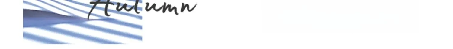 OLrain Woman Fitted Shirts 2026 Spring Fall French Striped Button up Long Sleeve Blouses Commute Women's Clothing O24QC82815