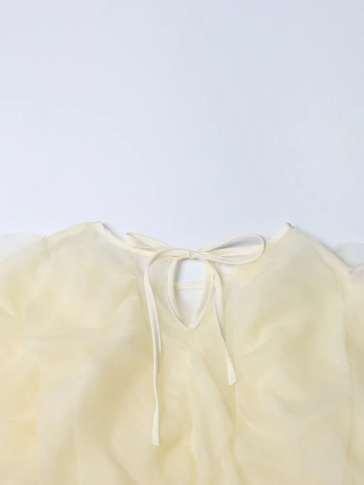 TWOTWINSTYLE Ruffles Shirts For Women Pullover Blouse Female Fashion Style