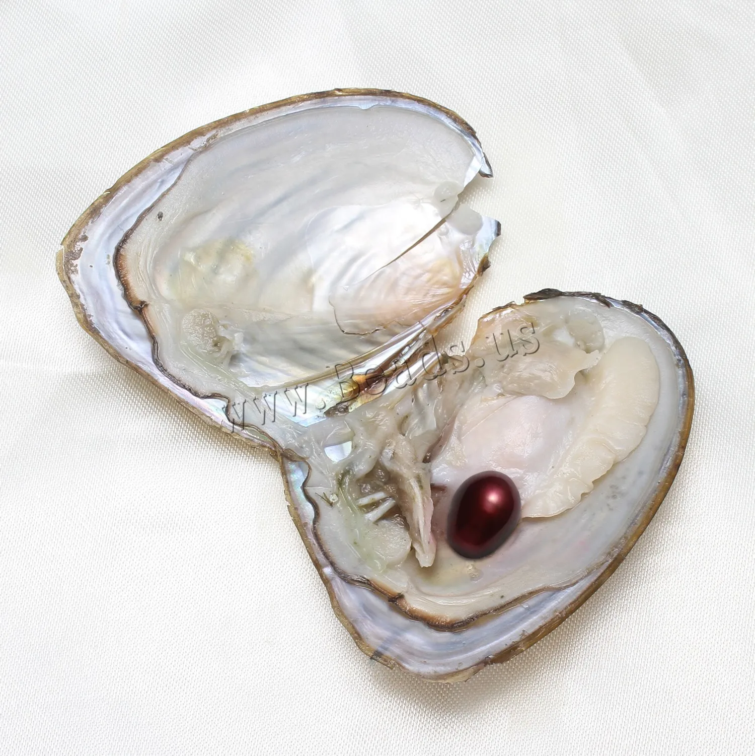 50PCs/Lot Vacuum Pack Oyster Wish Pearl Kit Oyster Beautiful DIY Accessories Gift About 7-8mm Freshwater Pearl High quality Pearl