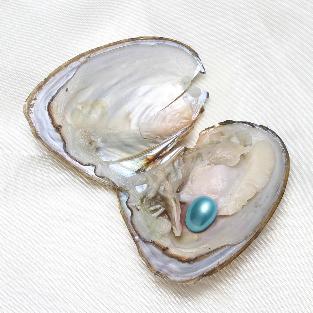 50pcs/Lot High-quality Pearls 7-8MM AA+ Single Pearl Vacuum-pack Oyster Beautiful & Interesting Nature Gifts Cultivate