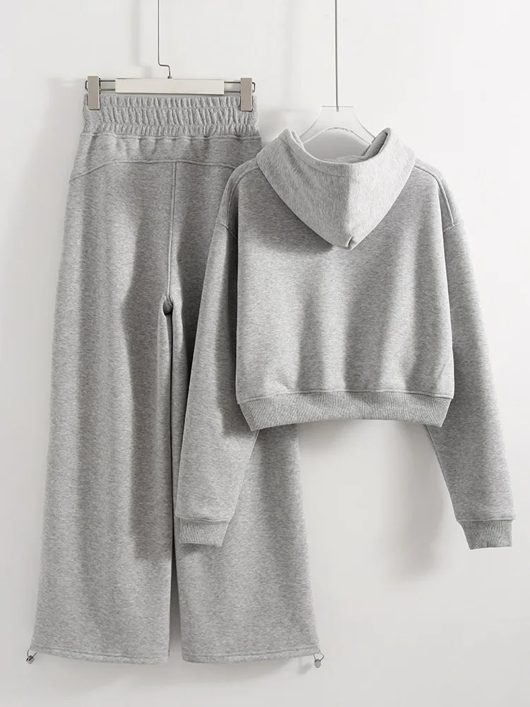 Women Tracksuits Winter Fleece Sweatsuit Brown Warm Crop Zipper Hoodies And Sweatpants Set For Women 2 Piece Velvet Pants Sets