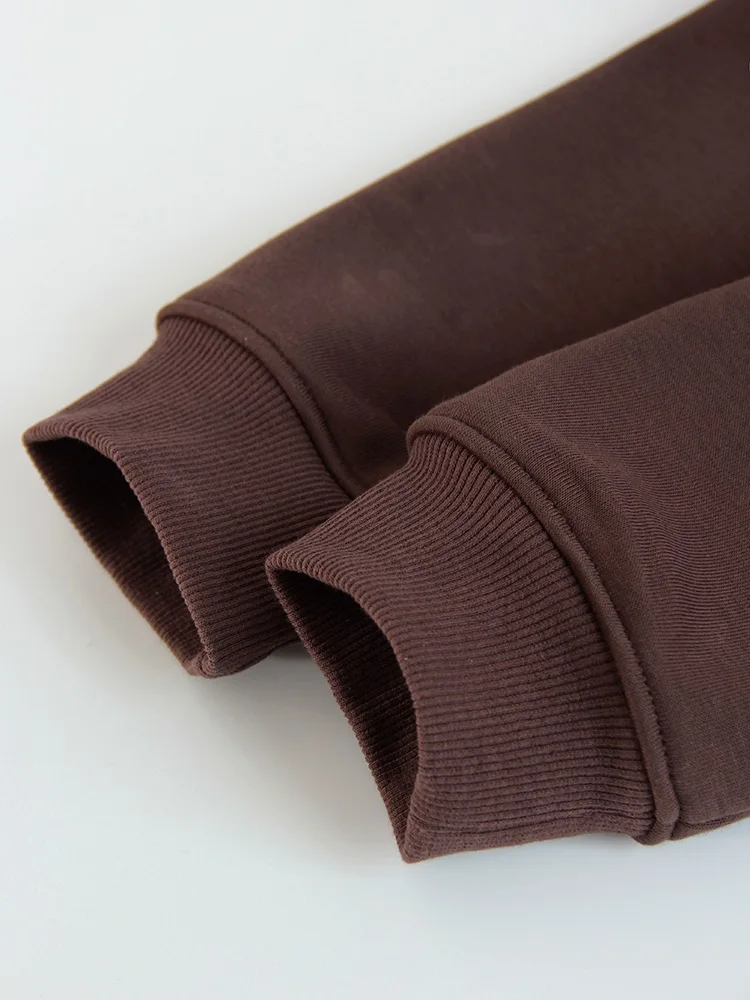 Women Tracksuits Winter Fleece Sweatsuit Brown Warm Crop Zipper Hoodies And Sweatpants Set For Women 2 Piece Velvet Pants Sets