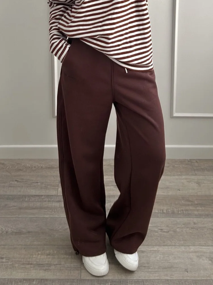 Women Tracksuits Winter Fleece Sweatsuit Brown Warm Crop Zipper Hoodies And Sweatpants Set For Women 2 Piece Velvet Pants Sets