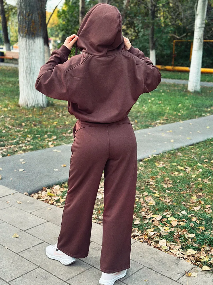 Women Tracksuits Winter Fleece Sweatsuit Brown Warm Crop Zipper Hoodies And Sweatpants Set For Women 2 Piece Velvet Pants Sets