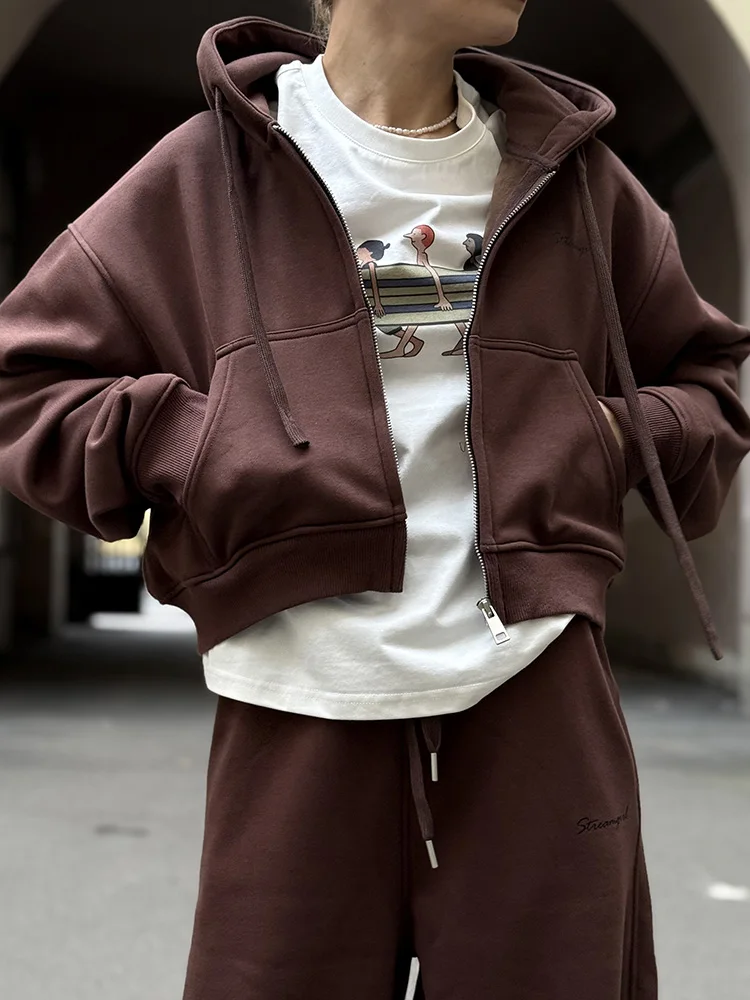 Women Tracksuits Winter Fleece Sweatsuit Brown Warm Crop Zipper Hoodies And Sweatpants Set For Women 2 Piece Velvet Pants Sets