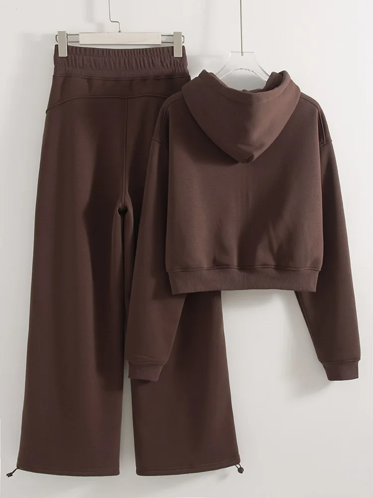 Women Tracksuits Winter Fleece Sweatsuit Brown Warm Crop Zipper Hoodies And Sweatpants Set For Women 2 Piece Velvet Pants Sets