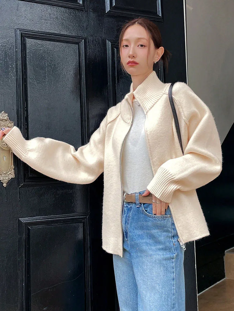 Lazy Style Sweater Jacket for Women 2026 Autumn Winter Thicken Warm Soft Knitted Cardigans Fashion Zipper Stand Collar Cardigan