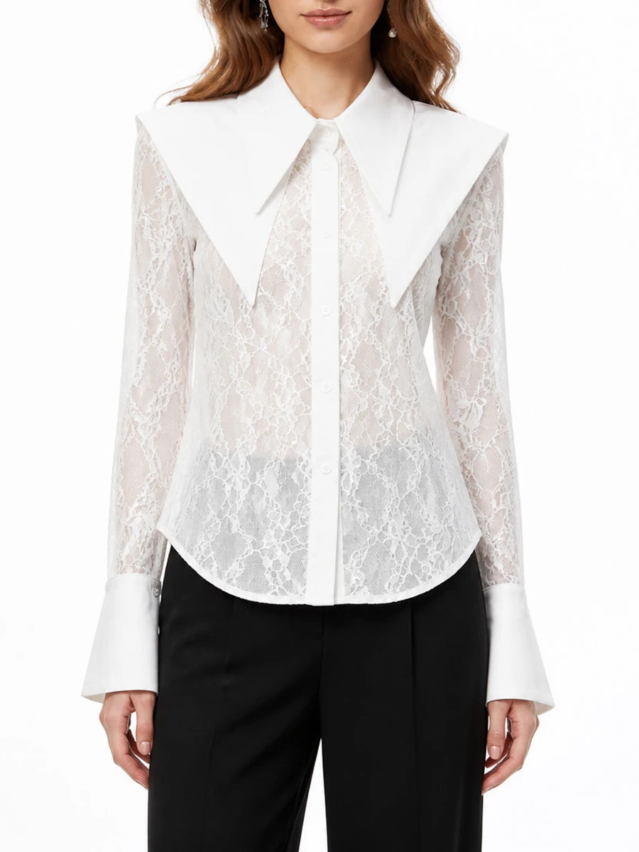 TWOTWINSTYLE Mesh Spliced Lace Slimming Sexy Blouse for Women Lapel Collar Long Sleeve Patchwork Sheer Casual Blouses Female New
